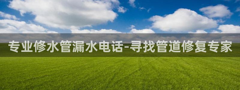 球盟会下款快吗