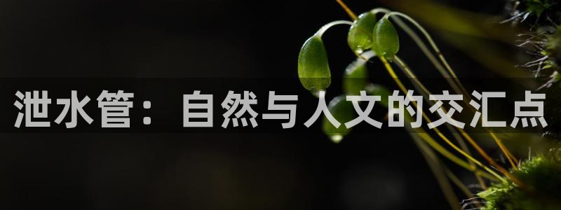 球盟会官网app下载