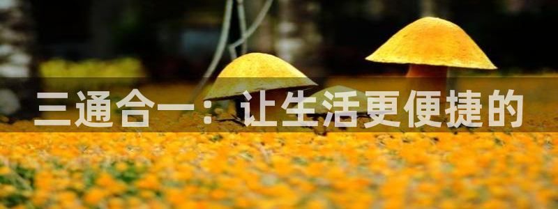 球盟会网址qm9 - 球盟会qmh网页版登录