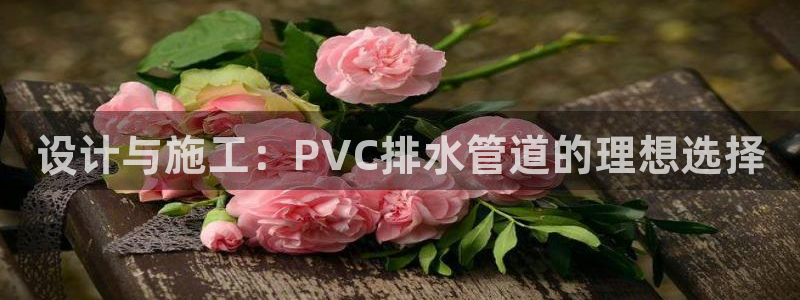 球盟会游戏几点玩合适