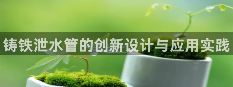 球盟会黑款吗还是白款