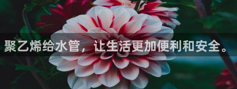 球盟会app最新地址在哪看