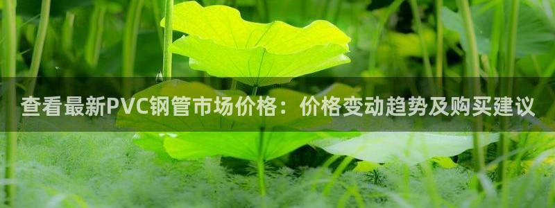 球盟会娱乐平台