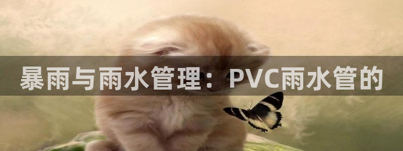 球盟会官方app首页入口