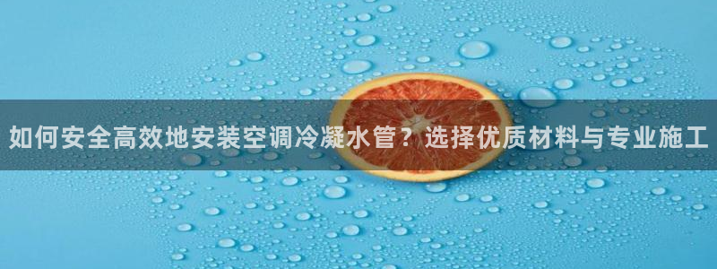 球盟会黑款吗知乎小说