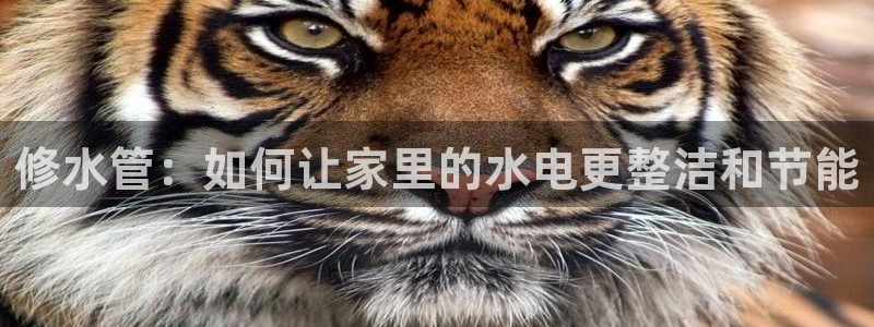 球盟会电子好下吗