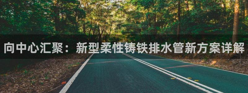 球盟会用的客服聊天是哪个软件