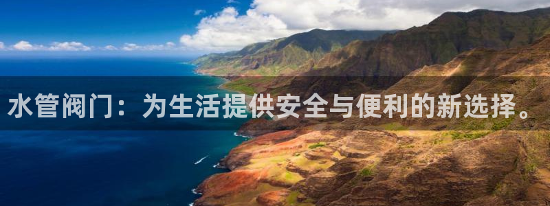 球盟会能提现吗