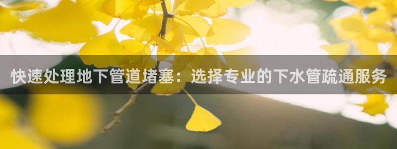球盟会app网址多少号
