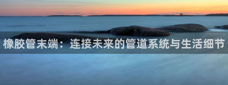 球盟会最新地址备用