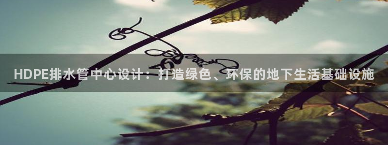 球盟会国际官网