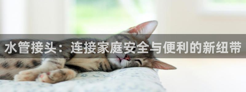 球盟会能提现吗是真的吗