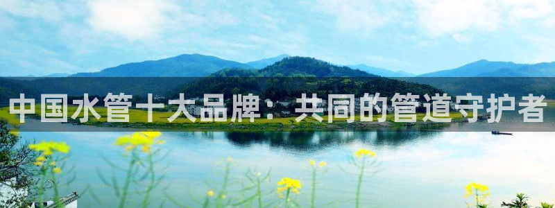 球盟会连接
