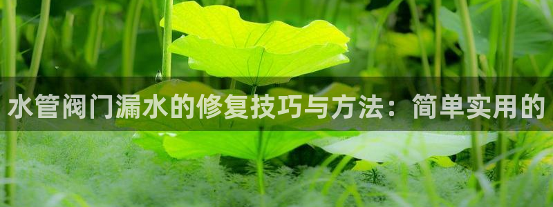 球盟会有没有黑单的活动