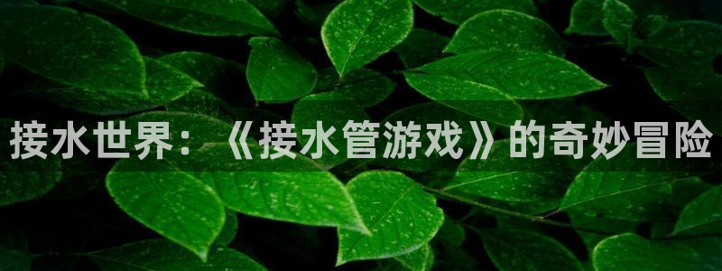 球盟会官网登录入口