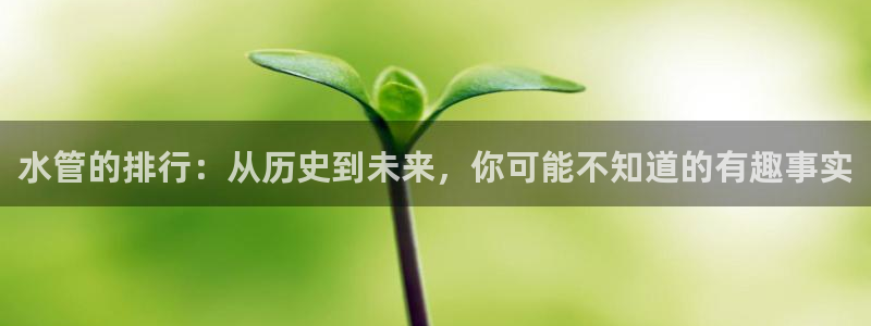 球盟会和中欧会的区别