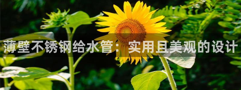 球盟会官方版下载地址