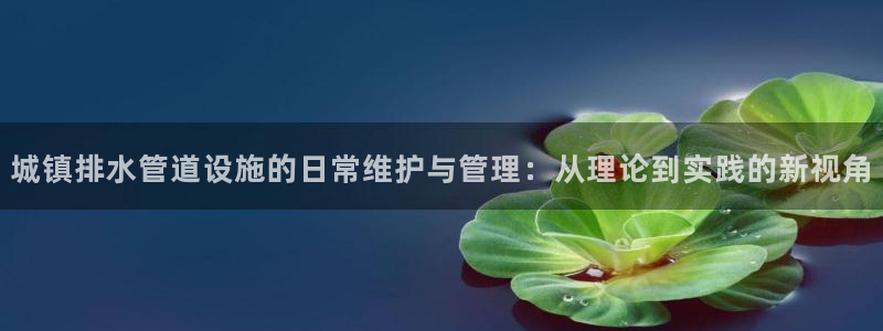 球盟会黑台子吗