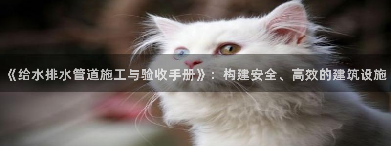 球盟会手机网页版