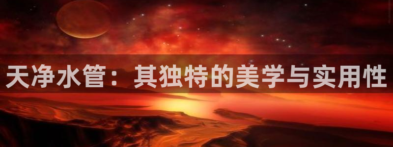 球盟会官方网站app