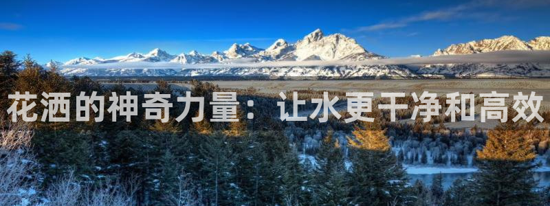 球盟会官网入口