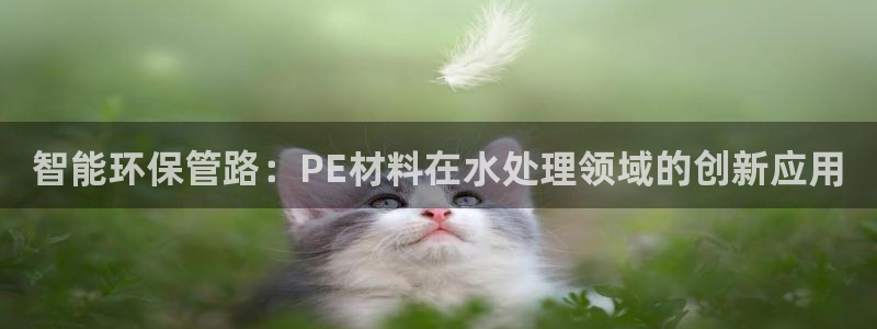 球盟会唯一