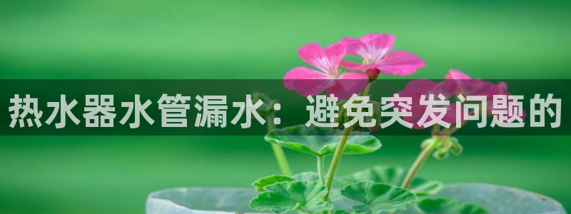 球盟会类似的网站