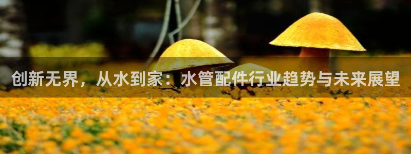 球盟会网页登录入口