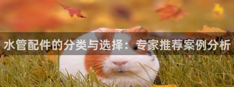 球盟会qmh网页版登录