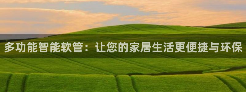 球盟会黑款吗还是白款