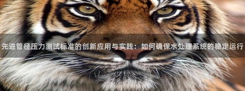 球盟会黑款吗知乎文章