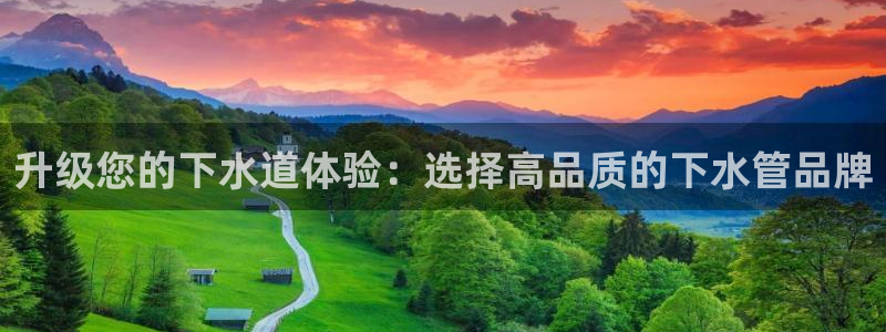 球盟会官方网站入口