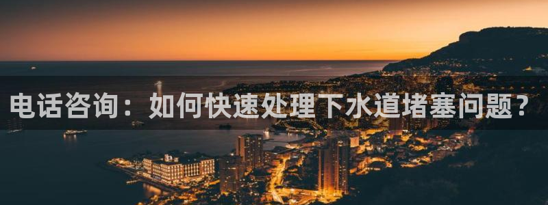 球盟会和中欧