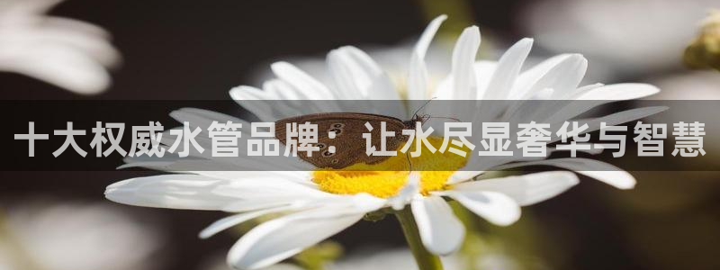 球盟会网页登录入口