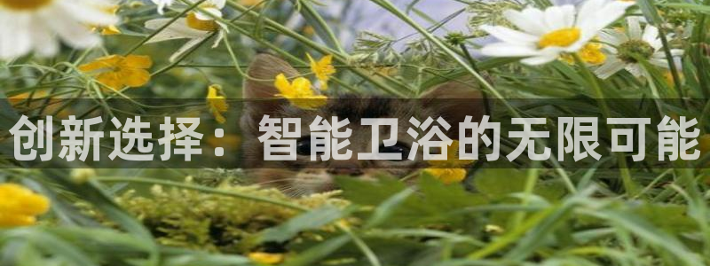 球盟会能退钱吗知乎