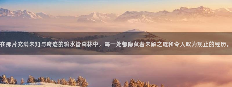 球盟会网页登录入口