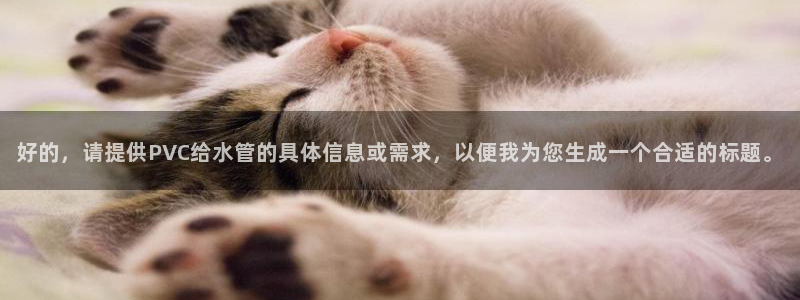 球盟会进不去
