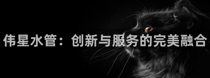 球盟会黑款吗知乎