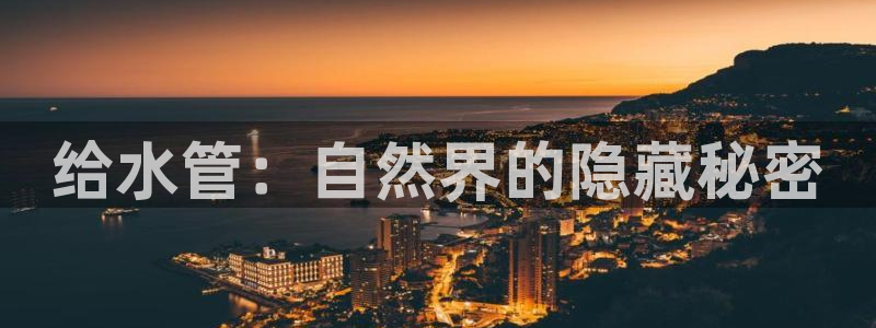 球盟会黑款吗是真的吗