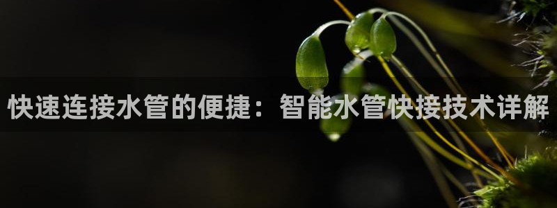 球盟会有没有黑单的活动