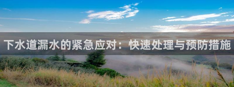 球盟会官方网站是什么