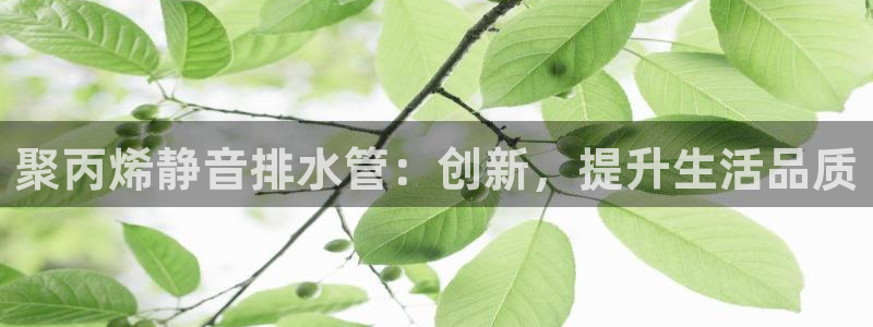 球盟会提款支付宝怎么样