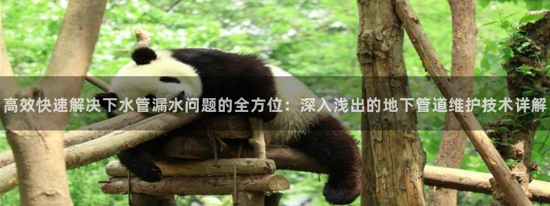 球盟会网址qm9 - 球盟会qmh网页版登录