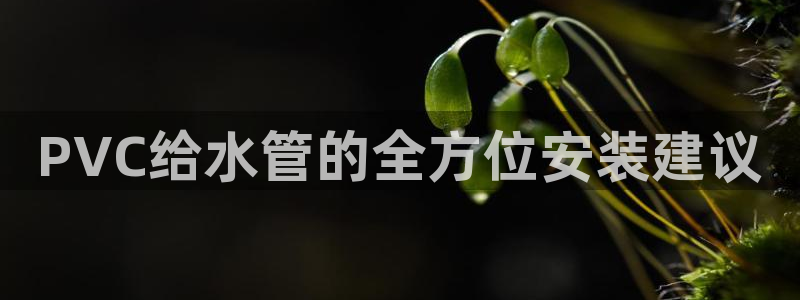 球盟会可以提现么是真的吗