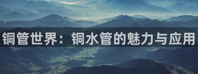 球盟会用的客服聊天是哪个软件