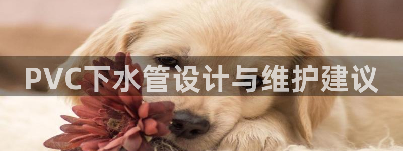 球盟会app最新地址在哪看