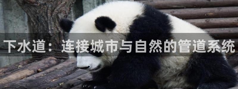 球盟会(中国)官方网站