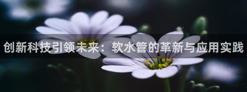 球盟会有没有黑单的球员