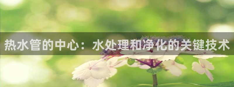 球盟会能退钱吗是真的吗