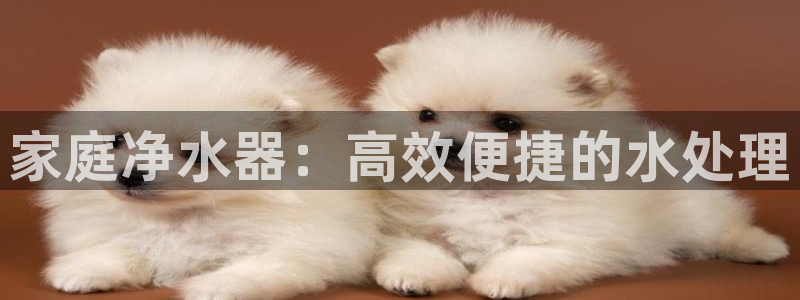 球盟会官方网入口